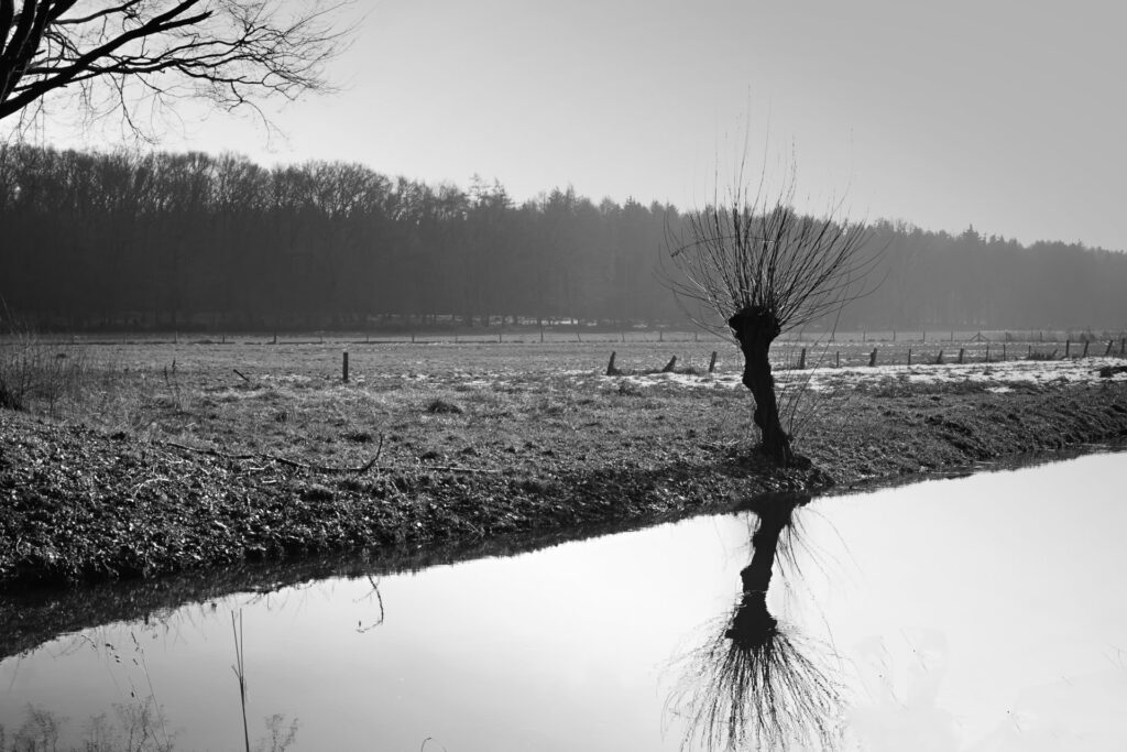 Foto: Niederrheinlandschaft (Copyright: pixabay.com)